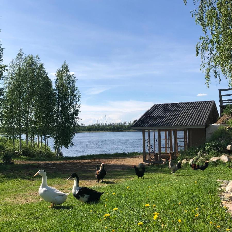 Beautiful Rural Experience With Reindeer Villa Tervola Exterior photo